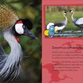 Copertă produs Ștrumfii și animalele sălbatice - gallery small 