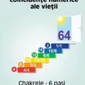 Copertă produs Surprinzătoarele coincidențe numerice ale vieții. Chakrele. 6 pași &icirc;ntre om și Univers (Vol.2) - gallery small 
