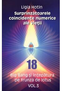 Copertă produs Surprinzătoarele coincidențe numerice ale vieții. Big Bang și &icirc;nțepătura pe frunza de lotus (Vol.3)