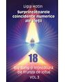 Copertă produs Surprinzătoarele coincidențe numerice ale vieții. Big Bang și &icirc;nțepătura pe frunza de lotus (Vol.3) - thumb 1