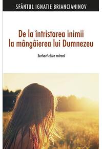 Copertă produs De la &icirc;ntristarea inimii la m&acirc;ng&acirc;ierea lui Dumnezeu