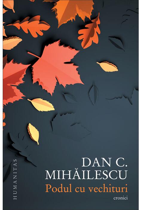 Copertă produs Podul cu vechituri