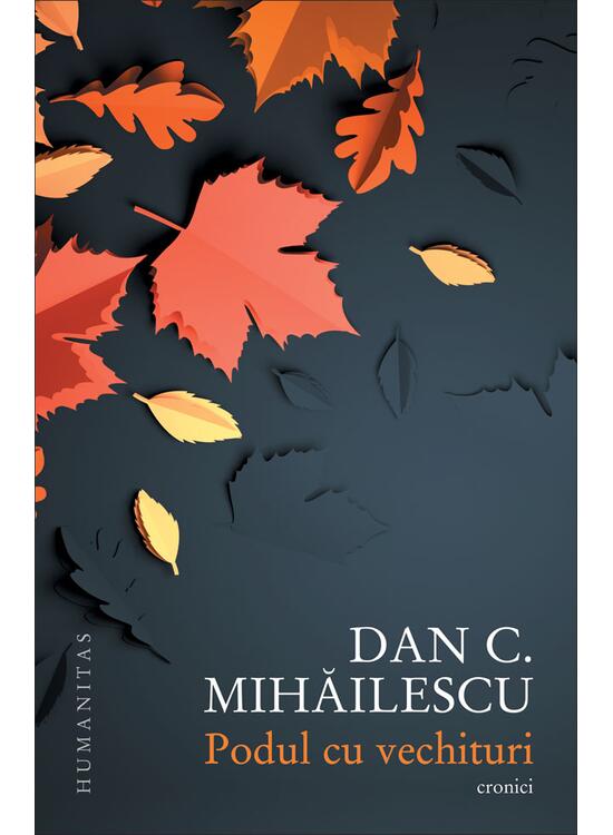 Copertă produs Podul cu vechituri - gallery big 1