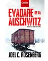 Copertă produs Evadare de la Auschwitz - thumb 1