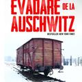 Copertă produs Evadare de la Auschwitz - gallery small 