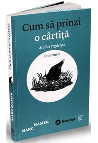 Copertă produs Cum să prinzi o cârtiță