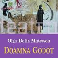 Copertă produs Doamna Godot - gallery small 
