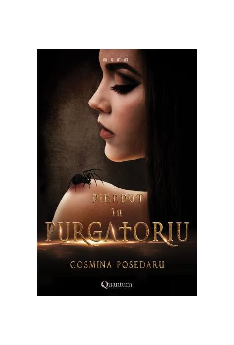 Copertă produs Pierdut &icirc;n Purgatoriu