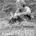 Copertă produs Acordul fin. Convorbiri cu Alexandru Vlad - gallery small 