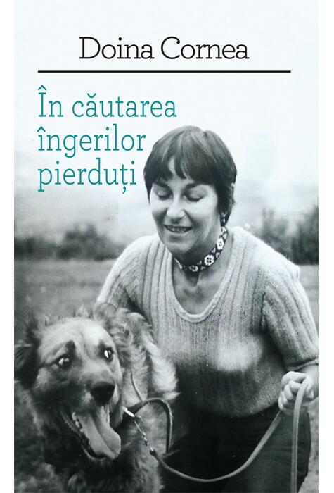 Copertă produs &Icirc;n căutarea &icirc;ngerilor pierduţi