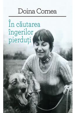 Copertă produs &Icirc;n căutarea &icirc;ngerilor pierduţi