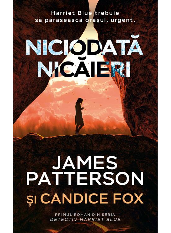 Copertă produs Niciodată nicăieri - gallery big 1