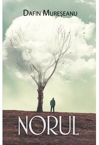 Copertă produs Norul
