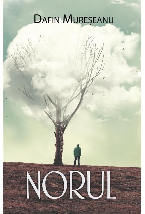 Copertă produs Norul