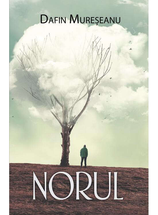 Copertă produs Norul - gallery big 1