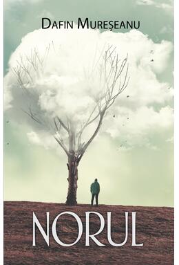 Copertă produs Norul