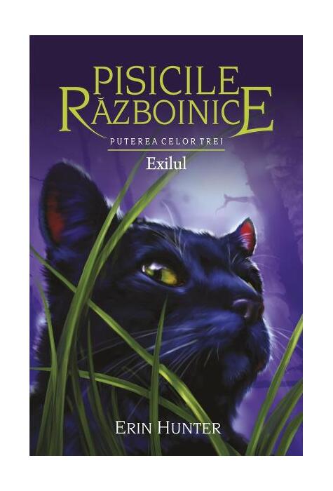 Copertă produs Pisicile războinice. Puterea celor trei. Exilul (Vol.15)