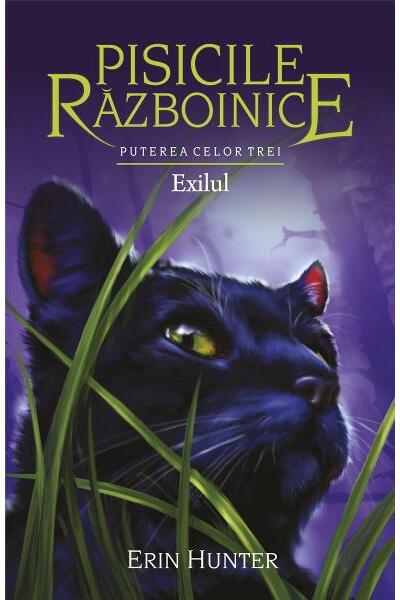 Pisicile războinice. Puterea celor trei. Exilul (Vol.15)