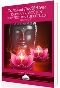 Copertă produs Karma privită din perspectiva sufletului