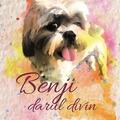 Copertă produs Benji, darul divin - gallery small 