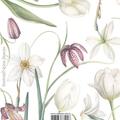 Copertă produs Florilegium (agenda albă) - gallery small 