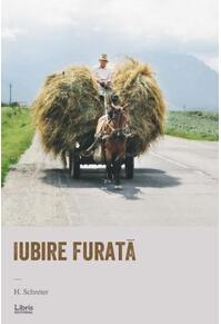 Copertă produs Iubire furată