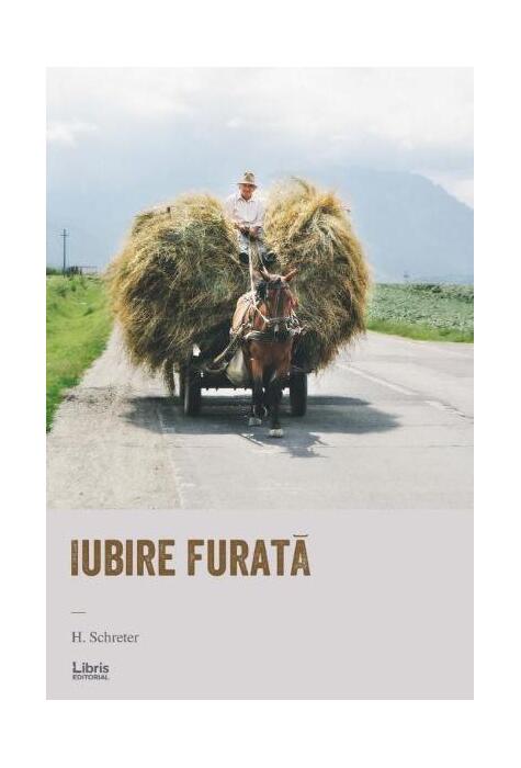 Copertă produs Iubire furată