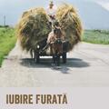 Copertă produs Iubire furată - gallery small 