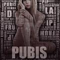Copertă produs Pubis. Invincibila cetate - gallery small 