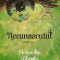 Copertă produs Necunoscutul vol. 1 - gallery small 