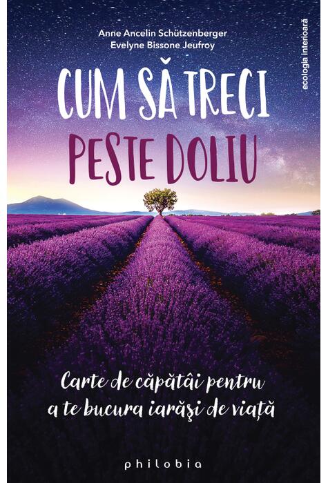 Copertă produs Cum să treci peste doliu