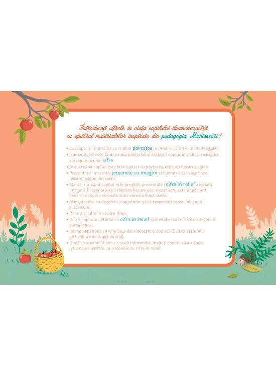 Copertă produs Cutia mea cu cifre Montessori (+3 ani) - gallery big 3