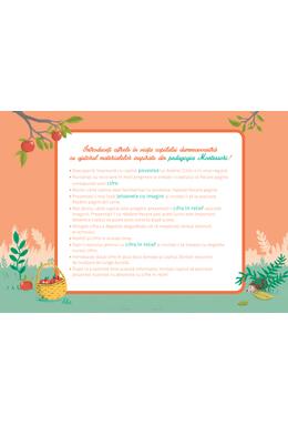 Copertă produs Cutia mea cu cifre Montessori (+3 ani)