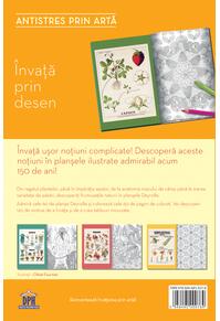 Copertă produs Învață prin desen. Deyrolle. Antistres prin artă