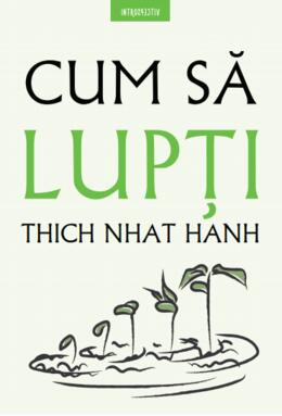 Copertă produs Cum să lupți (Vol. 6)