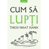 Copertă produs Cum să lupți (Vol. 6)