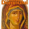 Copertă produs Icoanele bizantine ale Maicii Domnului - gallery small 