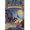 Copertă produs Povestea castelului b&acirc;ntuit. Misiunile Merlin (Vol. 2)