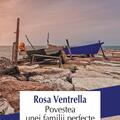Copertă produs Povestea unei familii perfecte - gallery small 