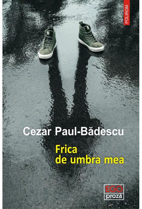 Copertă produs Frica de umbra mea