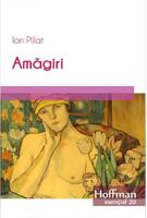 Imagine produs Amăgiri