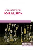 Imagine produs Ion Aluion