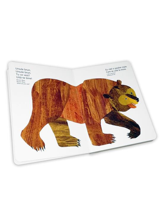 Copertă produs Ursule brun, ursule brun, tu ce vezi? / Brown Bear, Brown Bear, What Do You See? - gallery big 2