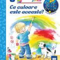 Copertă produs Ce culoare este aceasta? - gallery small 