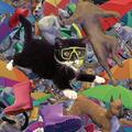 Copertă produs Semn de carte 3D - Cats & Dogs - gallery small 
