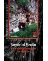 Copertă produs Șarpele lui Nicodim și alte simboluri misterioase ale românilor - thumb 1
