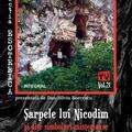 Copertă produs Șarpele lui Nicodim și alte simboluri misterioase ale românilor - gallery small 