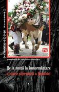 De la nuntă la &icirc;nmorm&acirc;ntare &ndash; o istorie alternativă a Rom&acirc;niei profunde