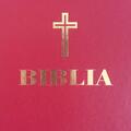 Copertă produs Biblia (grena) - gallery small 