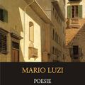 Copertă produs Poesie / Poezii - gallery small 
